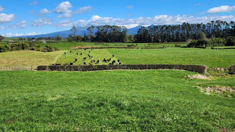 868 Upland Road Egmont Village_5