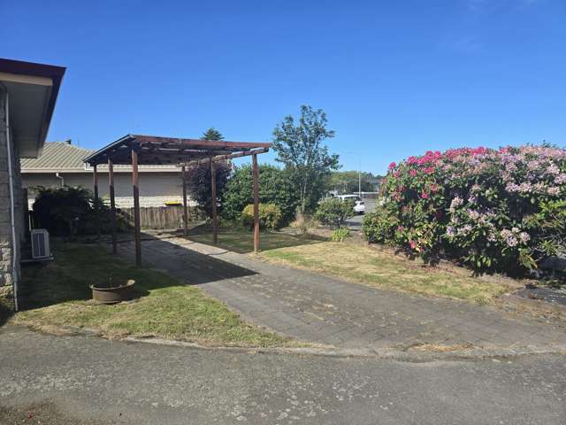 150 Grove Street Tinwald_2