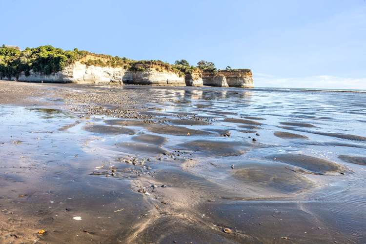 65 State Highway 3 Urenui_30