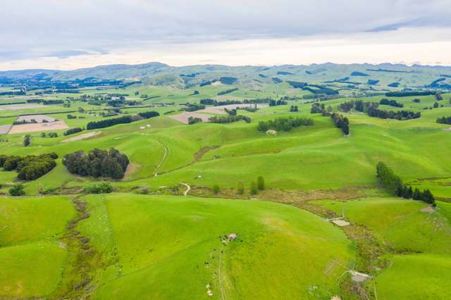 47 Hurunui Mouth Road Domett_4