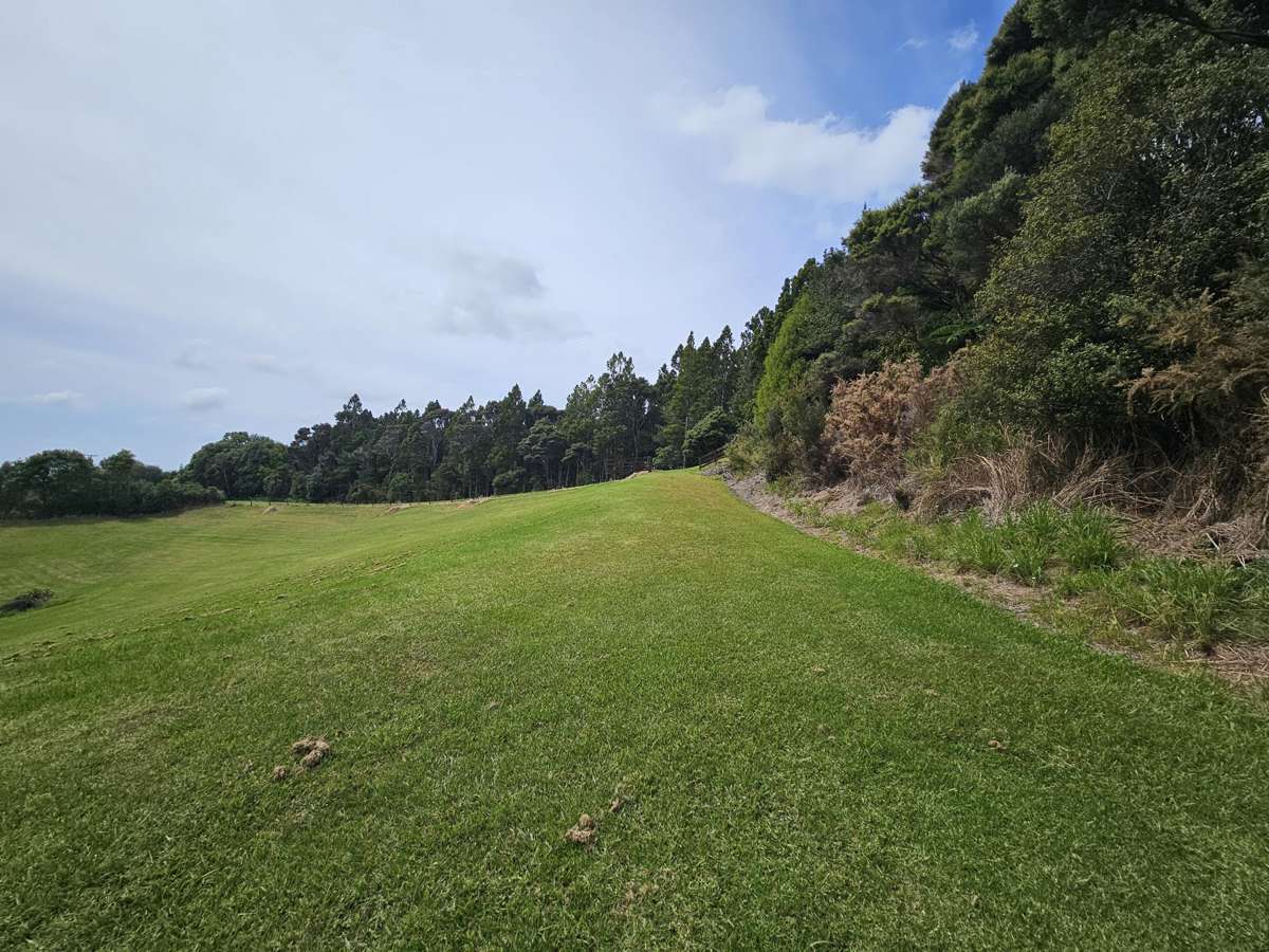 214a Three Oaks Drive_2