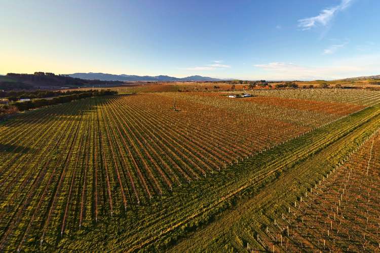 36 Wrekin Road Fairhall_5