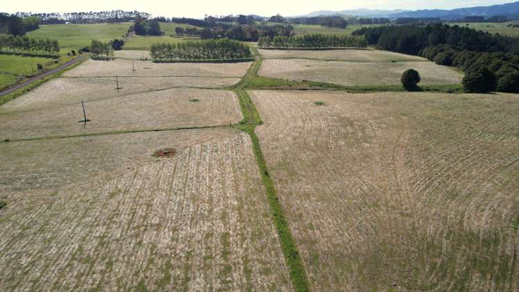 374 Rakauwahia Road Taheke_25