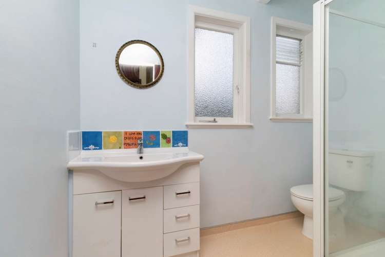 17 Carlton Street Hillsborough_11