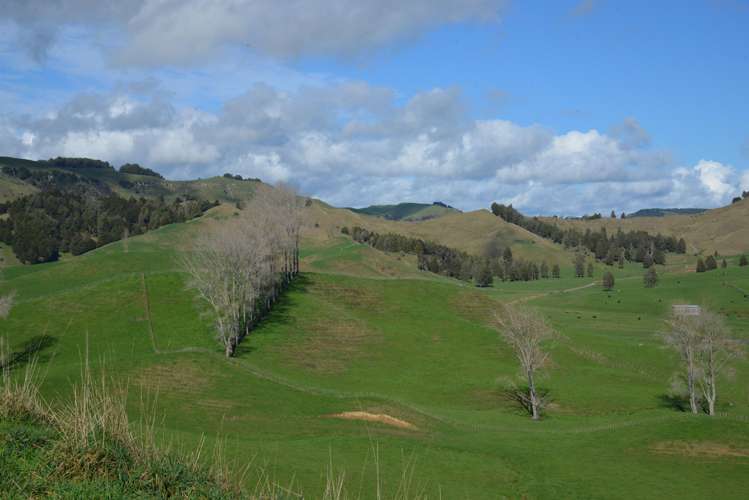 220 Tikitiki Road Te Kuiti_11