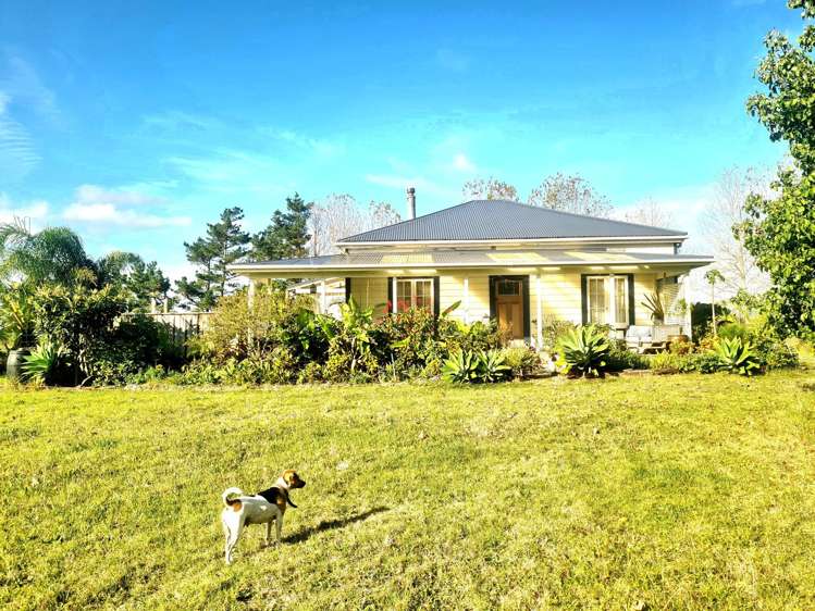 290 Notorious West Road_0