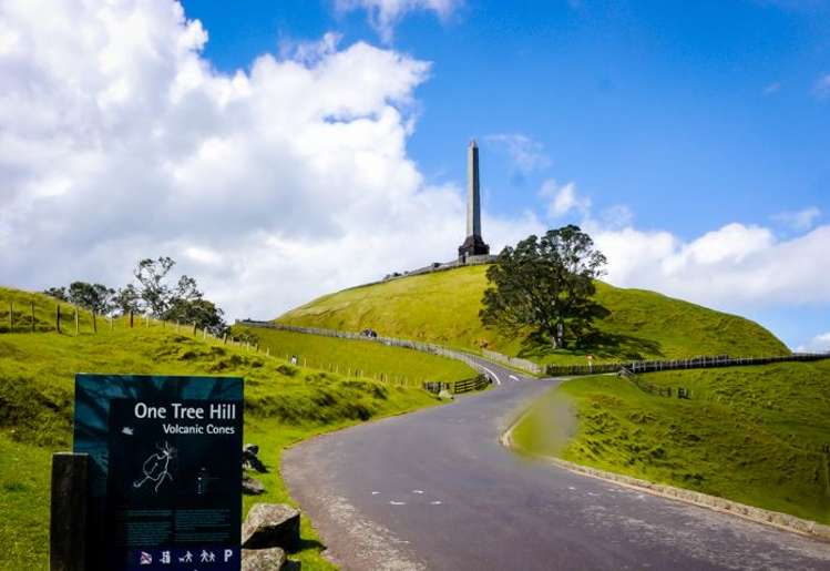 3/27 Mount Smart Road Royal Oak_5