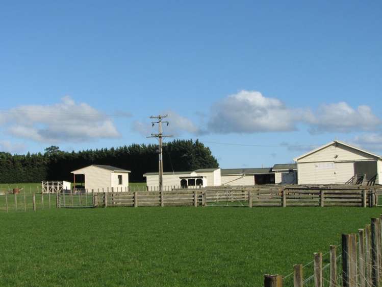 168c Hinakura Road Martinborough_13