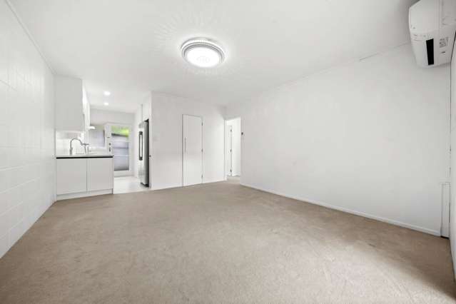 46 Richard Farrell Avenue Remuera_4