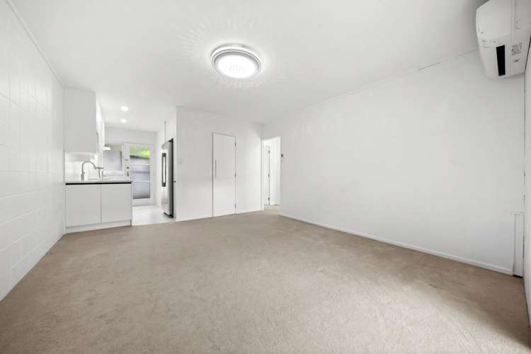 46 Richard Farrell Avenue Remuera_4