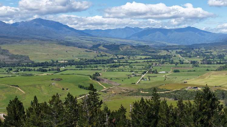 1419 Collingwood-Bainham Main Road Collingwood_19