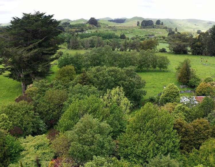 69 Stanly Street Eketahuna_8