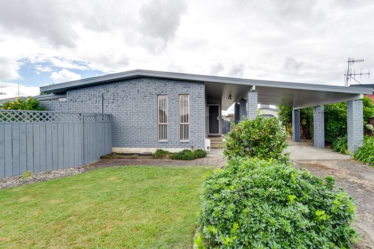 44 Guppy Road Greenmeadows_17