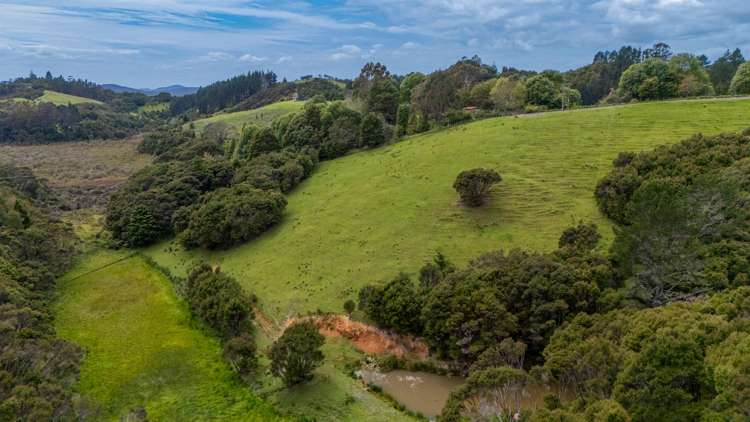 708. Waikino Road Kawakawa_40