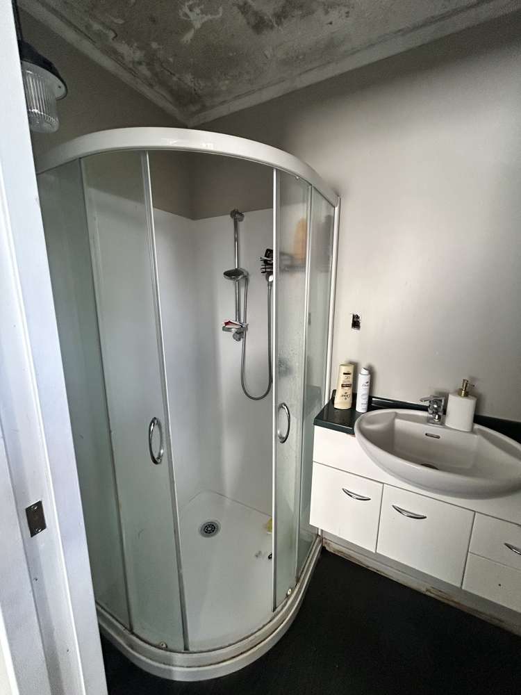 3 Rimu Place Tokoroa_20