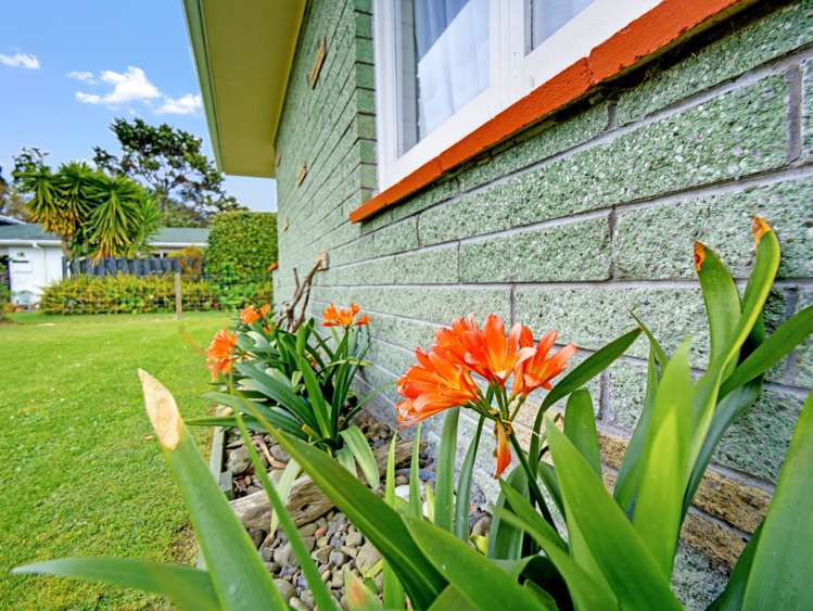 12 Sedgewick Road Opotiki_20