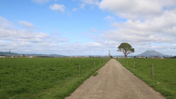 98 Mccracken Road Edgecumbe_7