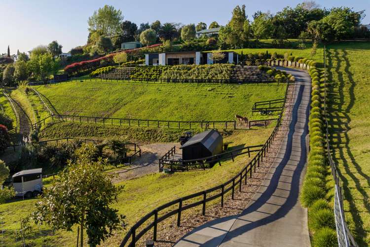 56 Miles Lane Tauriko_14