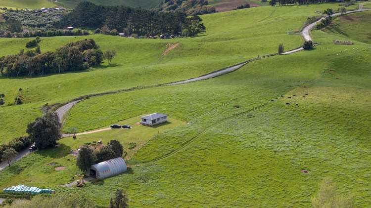 697 Maungatawhiri Road Raglan_3