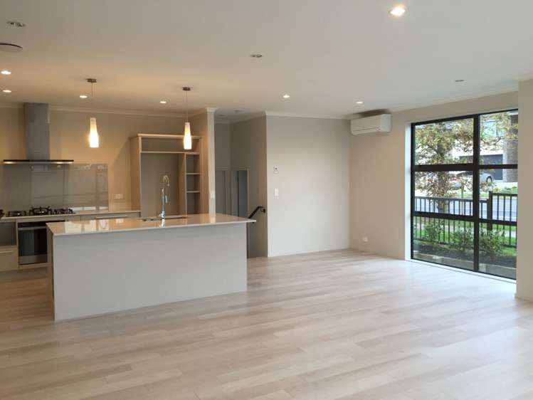 1 Louis Braille Lane Flat Bush_3