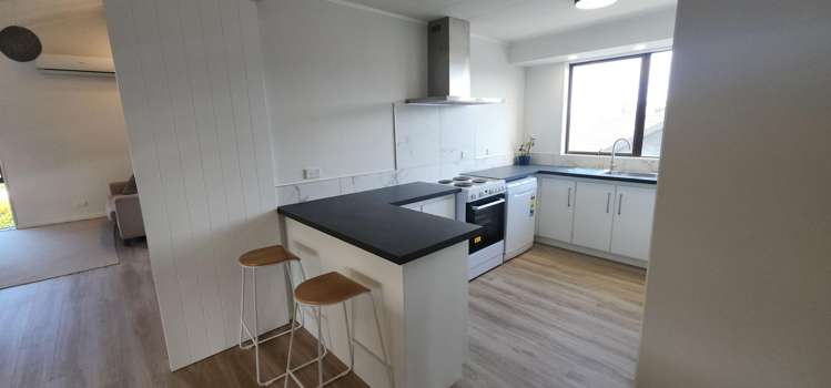 1 Nukumea Common Orewa_15