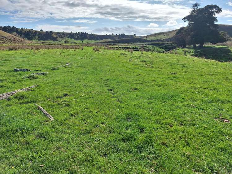 Mangaone Road Pongaroa_9