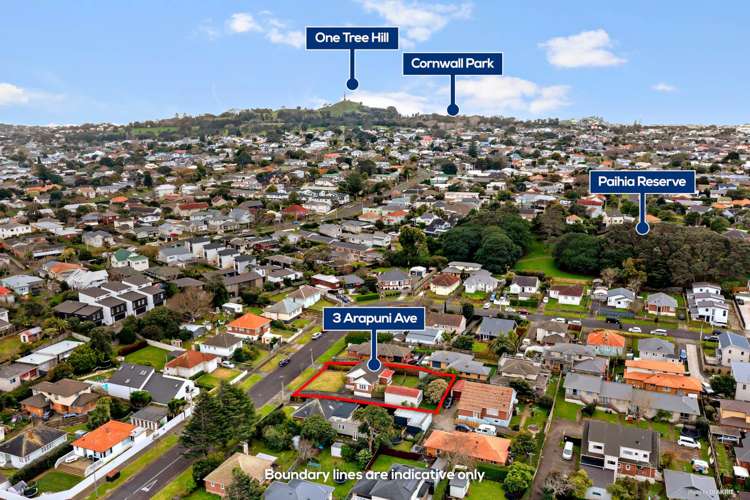 3 Arapuni Avenue Onehunga_3