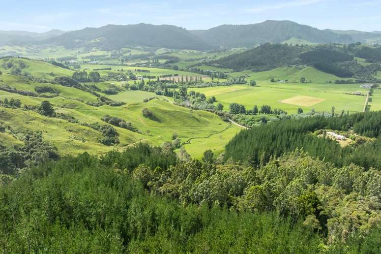 112 Hikuai School Road, Hikuai Tairua_27