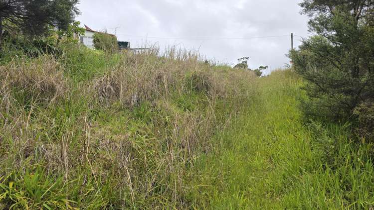 540b Medland Road Great Barrier Island_15