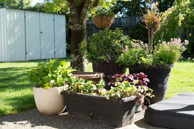 26 Deller Drive Carterton_23