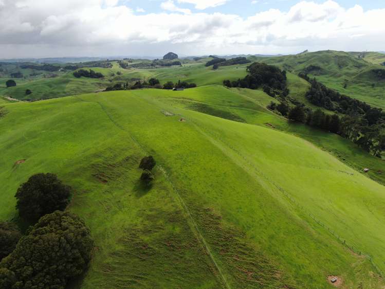 Lot (Rural)/1246 State Highway 3 Piopio_15