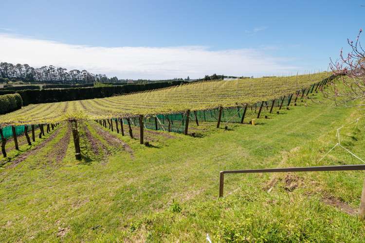 388 Manoeka Road Te Puke_15