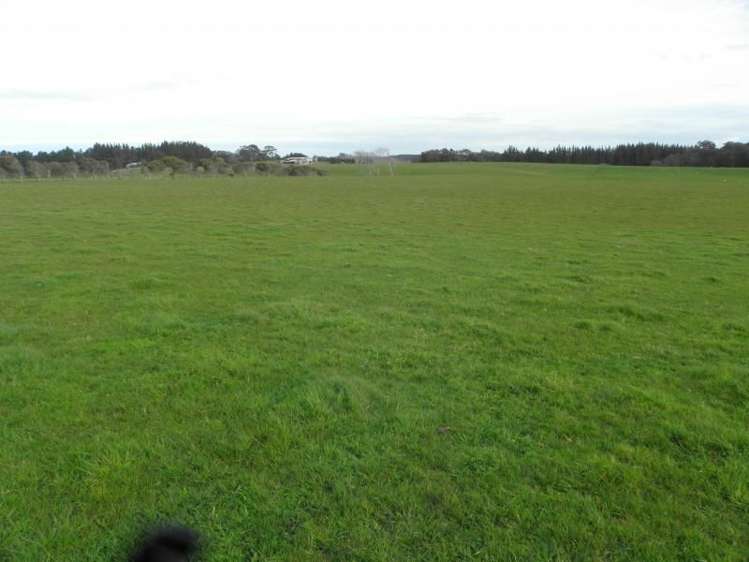 1433 State Highway 3 Turakina_12