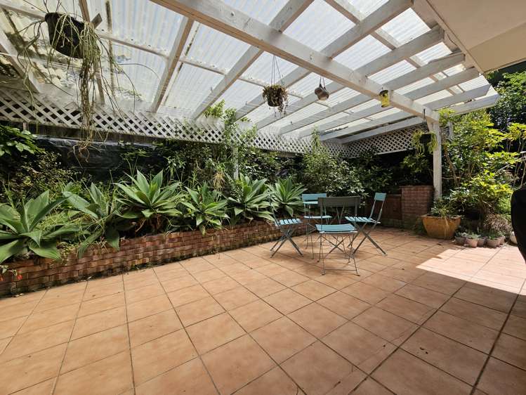 67 John Downs Drive Browns Bay_5