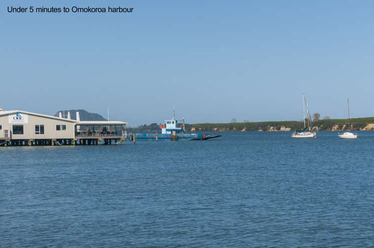 1 Parkland Rise Omokoroa_25