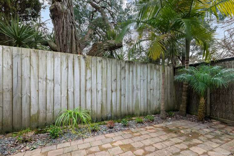 31/3 Wagener Place Mount Albert_5