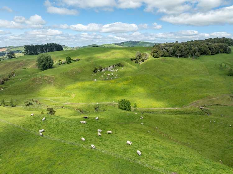 1/400 Brunskill Road Cambridge_16