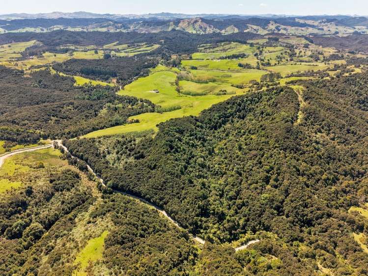 173 Paranui-Toatoa Road Taipa_5