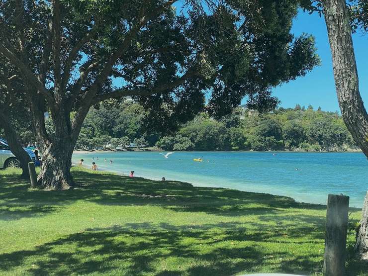 The four-bedroom beach home on Matakatia Parade, in Matakatia, Auckland, sold under the hammer at an on-site auction on Sunday. Photo / Supplied