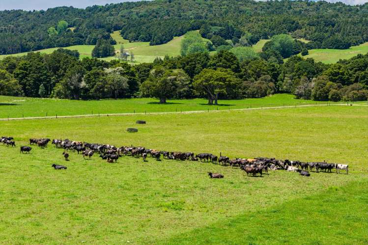 2358 State Highway 1 Hukerenui_17