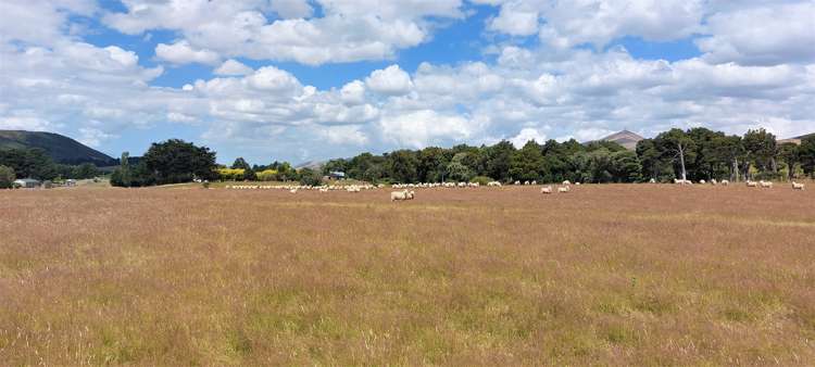 3660 Waipahi Highway Clinton and Surrounds_8