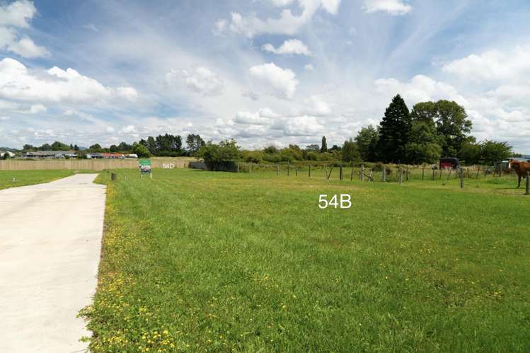 52A Robinson Avenue Holdens Bay_7