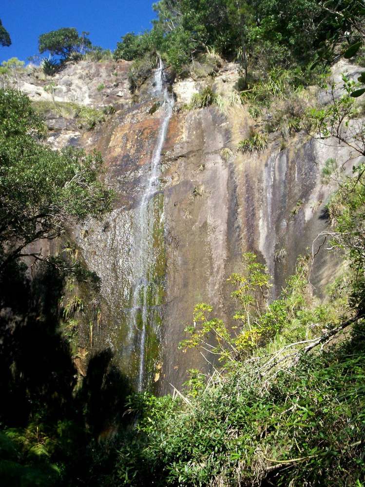 282 Lees Road Hahei_15