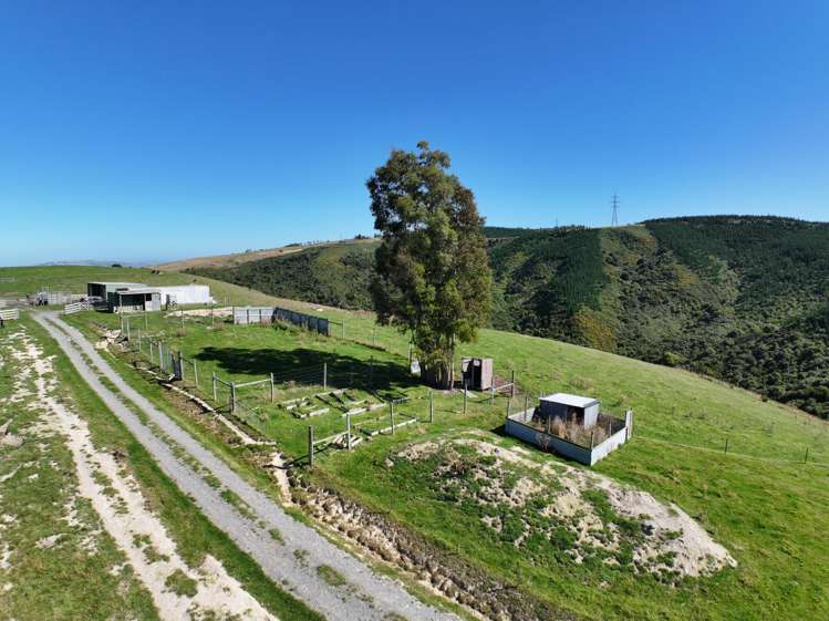 54 Salisbury Road North Taieri_13