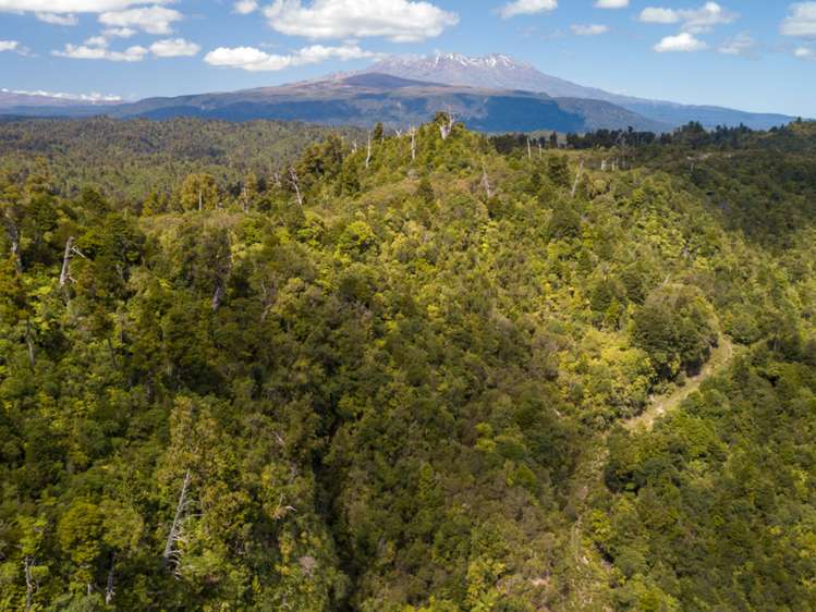 552b Cuff Road National Park_24