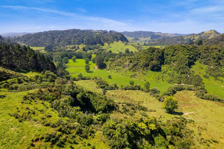 324 Okoki Road Urenui_19