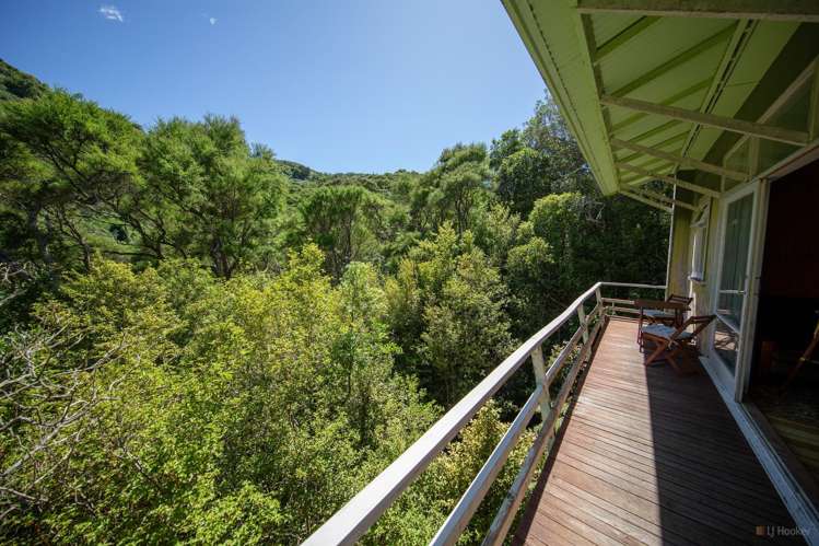 39 Lookout Road, Peel Forest_1
