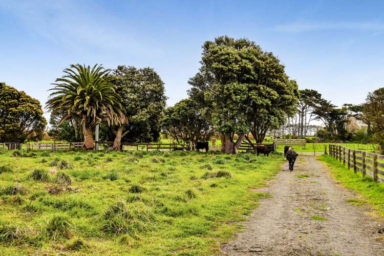 62 Hassard Street Manaia_10