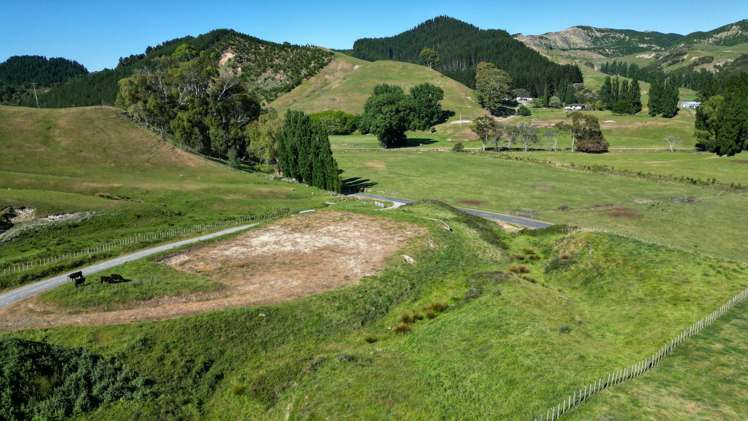 Hedgeley Road Puketapu_6