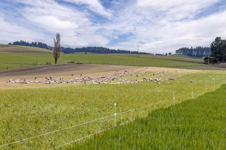 Hawarden Waikari Road Waikari_17